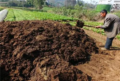 農家肥發酵 農家肥發酵