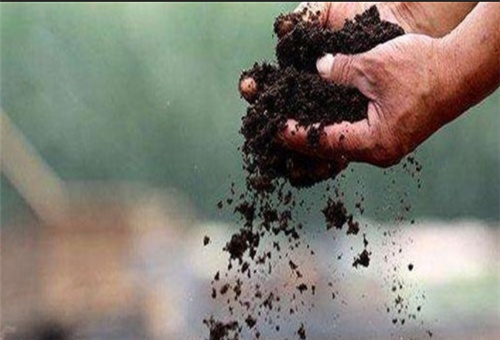 農(nóng)家肥發(fā)酵基肥 農(nóng)家肥發(fā)酵基肥