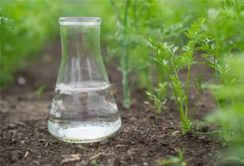酸性液體肥特點 酸性液體肥特點
