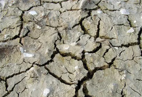 酸性液肥適用土壤 酸性液肥適用土壤