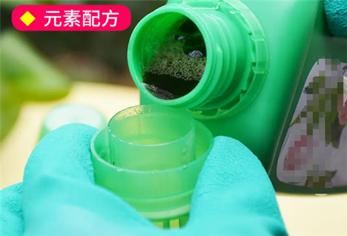 花卉用液體肥料 花卉用液體肥料