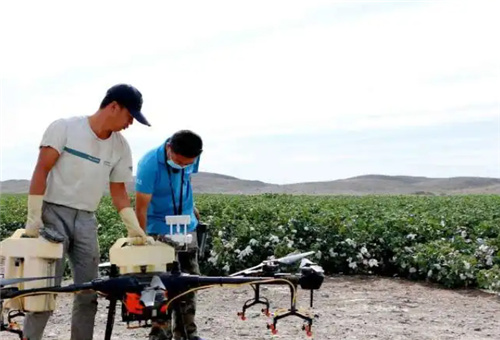 通用肥使用時(shí)間 通用肥使用時(shí)間