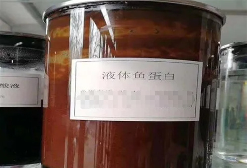ø~
