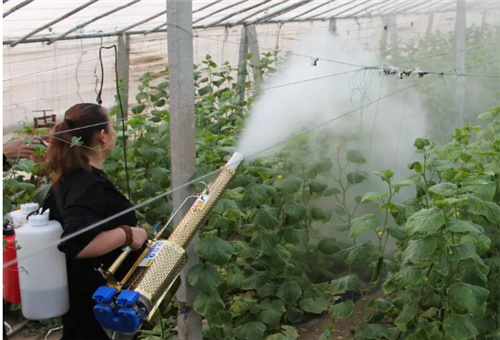 魚肽原漿用法 魚肽原漿用法